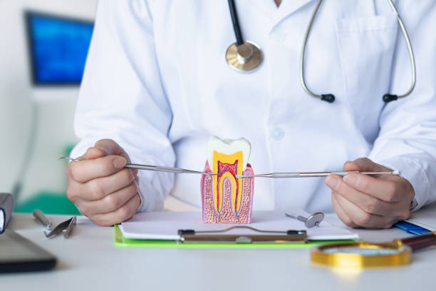 Best Emergency Dental Services for Seniors in Irvington, NY